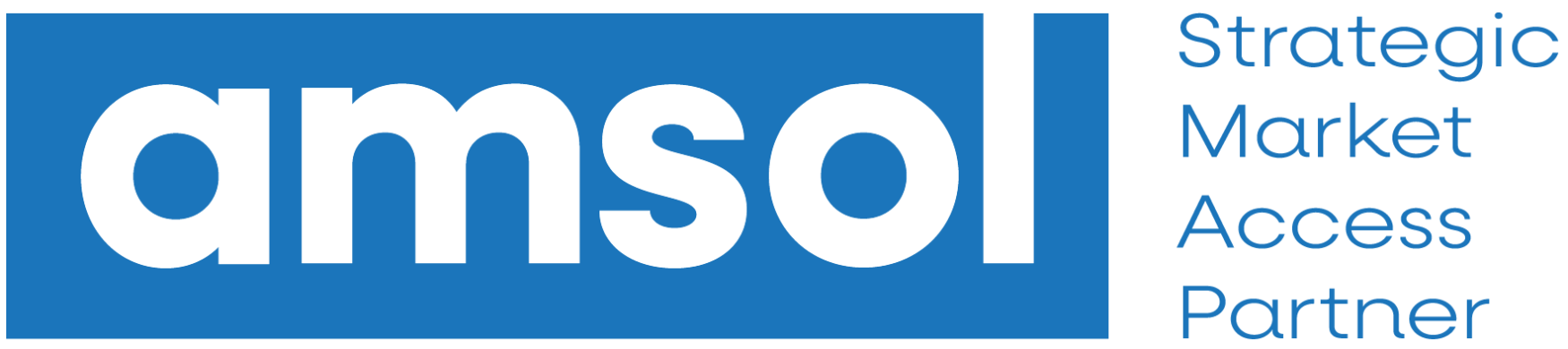 logo amsol